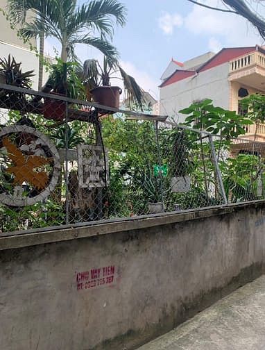 Hình ảnh BÁN ĐẤT THỔ CƯ tại phố trạm long biên 40m2 nhỉnh 4 tỷ