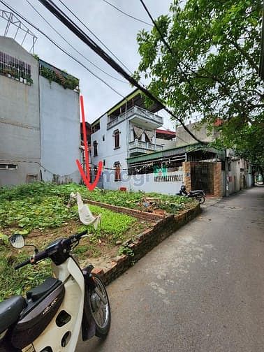 Hình ảnh Bán đất phúc lợi,long biên, giá siêu hấp dẫn