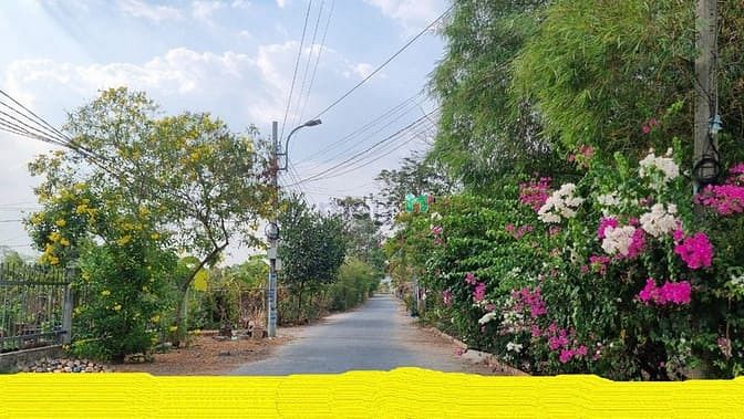 Hình ảnh ✅Điều kỳ lạ này sẽ khiến bạn phải trầm trồ!