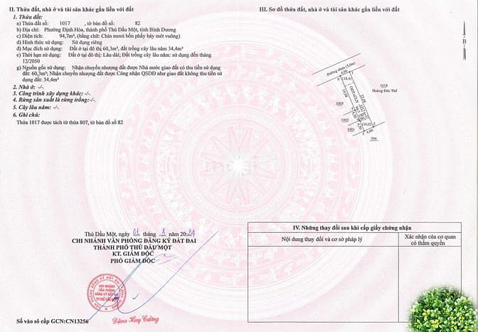 Hình ảnh ✅Điều kỳ lạ này sẽ khiến bạn phải trầm trồ!