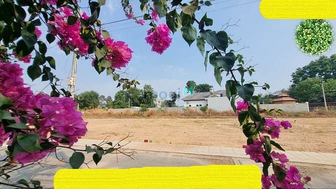 Hình ảnh ✅Điều kỳ lạ này sẽ khiến bạn phải trầm trồ!