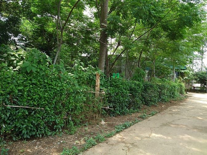 Hình ảnh Tôi bán 781m2 đất sổ đỏ xã Tân Mỹ, huyện Lạc Sơn, Hoà Bình
