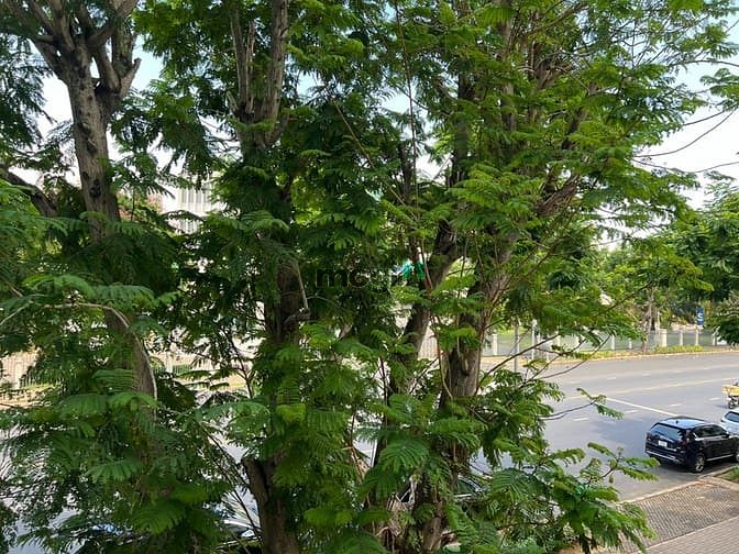 Hình ảnh Bán Trang Chủ MB66.COM / Đăng Ký Tặng 66K Mỹ Phúc A, Đường Nguyễn Đức Cảnh, PMH, Q7.