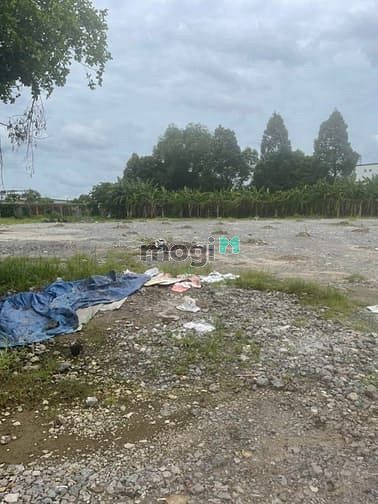 Hình ảnh * Cho thuê đất*2.500m2 gần đường Liên Phường, Phú Hữu, Quận 9