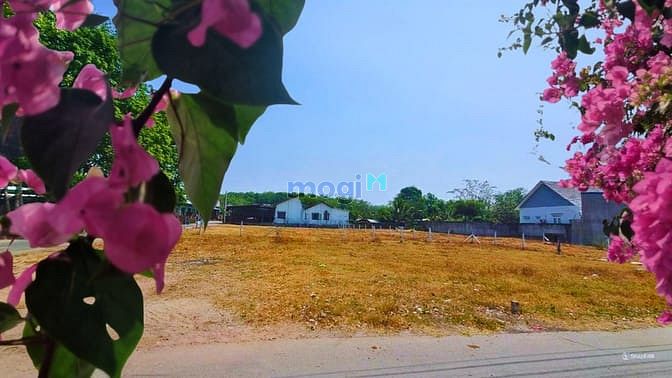 Hình ảnh ✅Chắc chắn đây chính là lô đất bạn đang kiếm tìm!