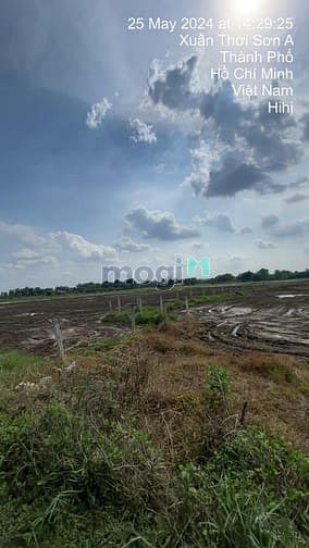 Hình ảnh Bán đất đường nhánh dương công khi, xã xuân thới sơn, hóc môn, thuận