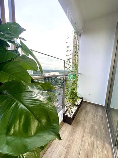 Hình ảnh CHo thuê nhanh Trang Chủ MB66.COM / Đăng Ký Tặng 66K Midtown, Phú Mỹ Hưng. 90M2, NT cao cấp, Giá rẻ