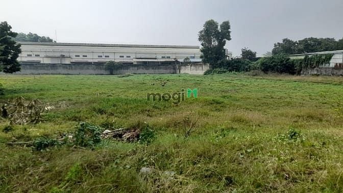 Hình ảnh 3000m2 đg nhựa 12m Qh ODT kế bên đã xây 5 tấm