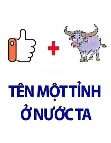 Hình ảnh 3000m2 đg nhựa 12m Qh ODT kế bên đã xây 5 tấm