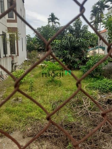 Hình ảnh Chính chủ bán đất sổ đỏ  Mặt Đường DT 200M2 Khánh Vân Khánh Hà