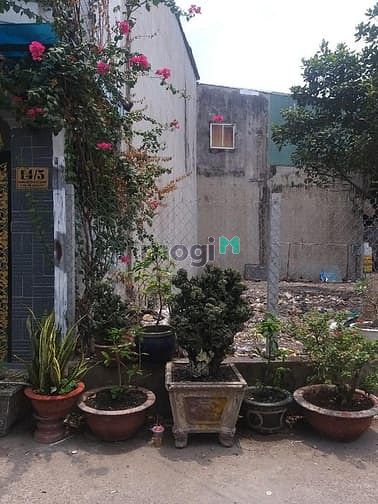 Hình ảnh Đất thổ cư bia truyền thống 50m2 nhỉnh hơn 3tỷ