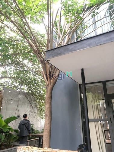 Hình ảnh Cho Thuê Villas Cư Xá Tự Do - CMT8, P7, Q. Tân Bình - 8x25