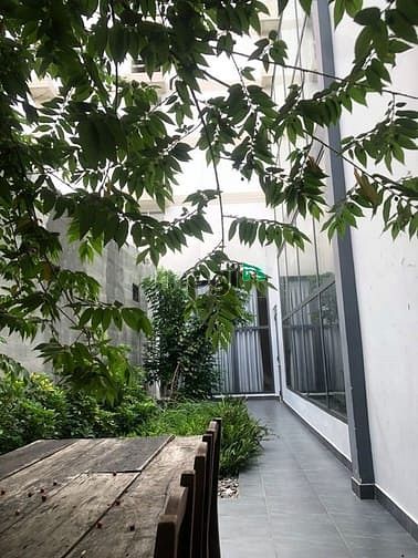 Hình ảnh Cho Thuê Villas Cư Xá Tự Do - CMT8, P7, Q. Tân Bình - 8x25