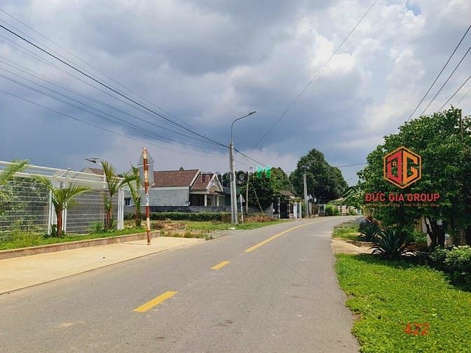 Hình ảnh Đất Vườn mặt tiền Bình Lục Long Phú, Tân Bình, Vĩnh Cửu, Đồng Nai