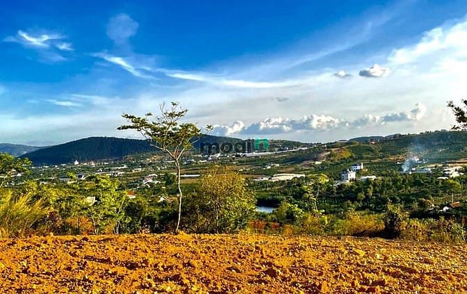 Hình ảnh Bán đất nền nghỉ dưỡng Đà lạt mở rộng