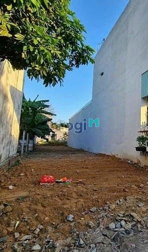 Hình ảnh ✅ Điều này nghe lạ lùng nhưng nó có thật? 👇
