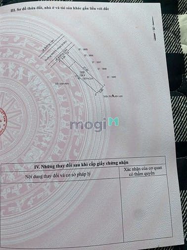 Hình ảnh ✅ Điều này nghe lạ lùng nhưng nó có thật? 👇