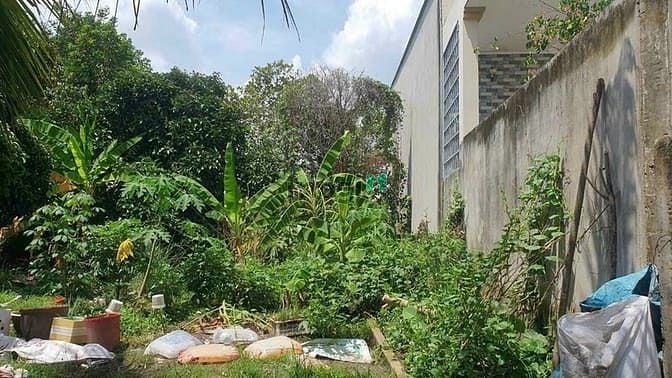 Hình ảnh Bán đất 2/ đường 181 - 175m2 - 7.5x25 - xã Bình Mỹ - Củ Chi