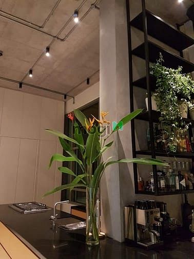 Hình ảnh Cần bán căn Penthouse VIP tại Riviera Point, Quận 7. DT 283m2, 3PN.