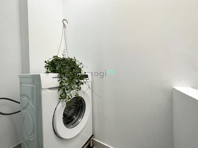 Hình ảnh CHO THUÊ CHDV ngay Đh Kinh Tế Q10 Tòa nhà Thang máy