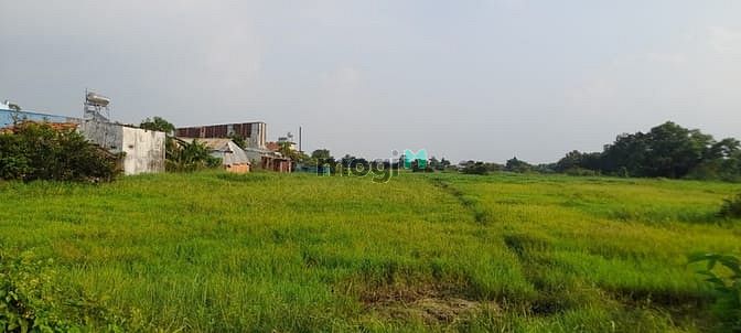 Hình ảnh Đất Đẹp Mặt Tiền Lê Thị Hà Hóc Môn 1.700m2 Kinh Doanh Siêu Đỉnh
