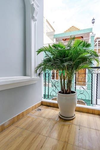 Hình ảnh CHO THUÊ CHDV Q1 Tòa nhà Thang máy