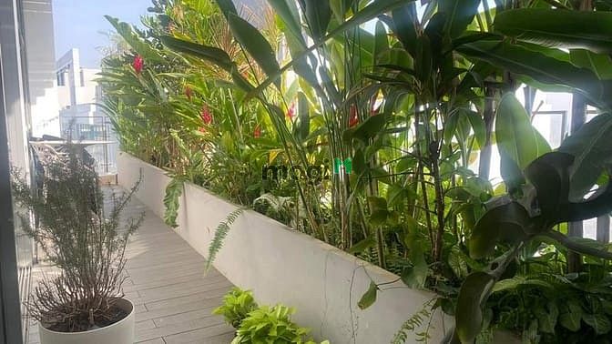 Hình ảnh Cần bán căn Penthouse VIP tại Riviera Point, Quận 7. DT 283m2, 3PN.