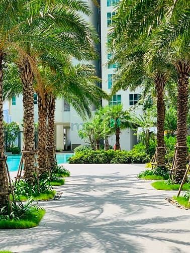 Hình ảnh Cho Thuê Căn Hộ 3PN 119m2 Sadora Khu Đô Thị Sala