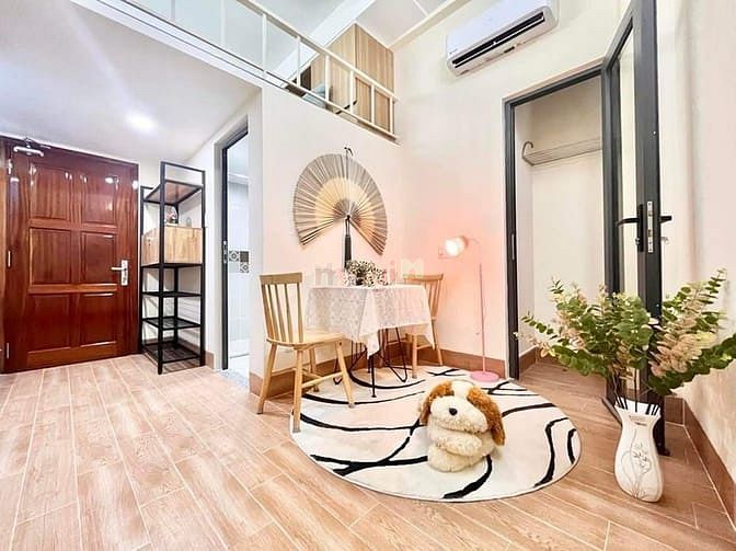 Hình ảnh Cho Thuê Căn Hộ Studio 1PN Cửa Sổ Lớn Cửu Long Tân Bình