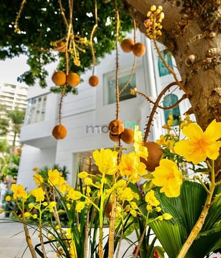 Hình ảnh Siêu Biệt Thự View Sông 1600m2 Đẹp Nhất Thảo Điền cho giới thượng lưu