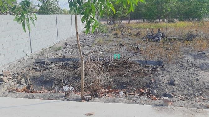 Hình ảnh Bán đất thổ cư hắc Dịch mặt tiền đường betong giá 1,13 tỷ sổ sẵn