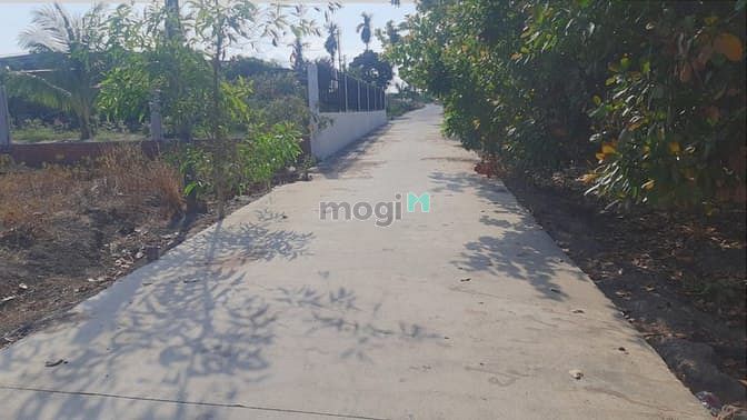 Hình ảnh Bán đất thổ cư hắc Dịch mặt tiền đường betong giá 1,13 tỷ sổ sẵn