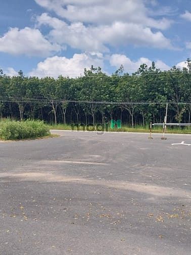 Hình ảnh Đầu tư siêu lợi nhuận, Đất đẹp đường Tân Thới Hiệp,DT 120m2 , SHR