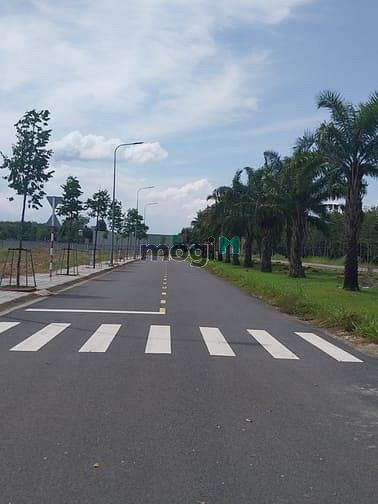 Hình ảnh Đầu tư siêu lợi nhuận, Đất đẹp đường Tân Thới Hiệp,DT 120m2 , SHR