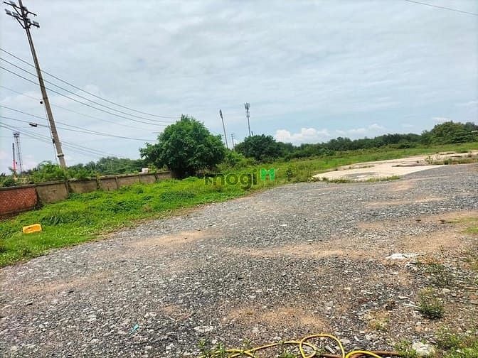 Hình ảnh Cho thuê khu đất quận 7 làm khu thể thao