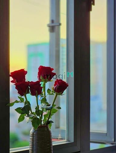 Hình ảnh Mb6623 nạp rút nhanh chóng dịch vụ ngay mũi tàu Âu Cơ - Lũy Bán Bích