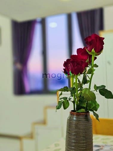 Hình ảnh Mb6623 nạp rút nhanh chóng dịch vụ ngay mũi tàu Âu Cơ - Lũy Bán Bích