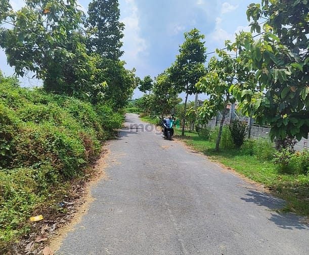 Hình ảnh Đất Củ Chi CHÍNH CHỦ đứng bán GIÁ CỰC TỐT