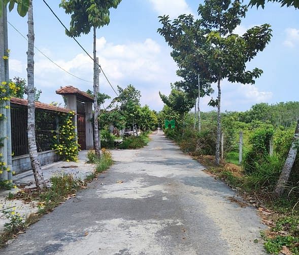 Hình ảnh Đất Củ Chi CHÍNH CHỦ đứng bán GIÁ CỰC TỐT