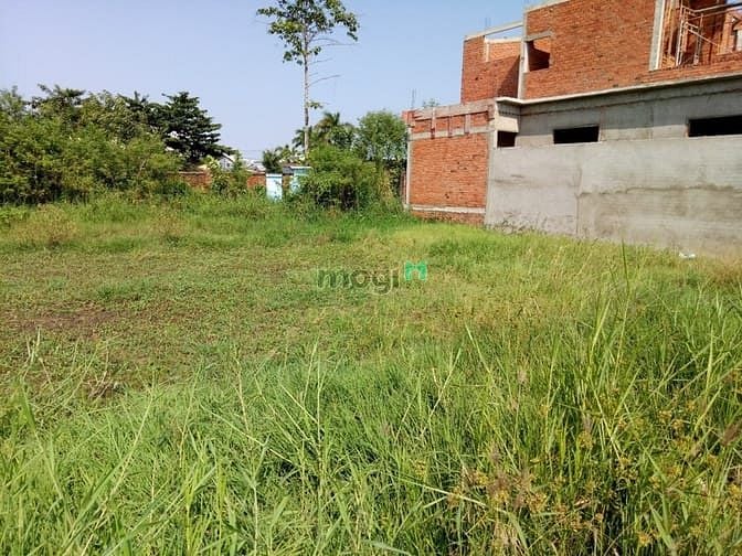 Hình ảnh đất đẹp giá rẻ hưng nhơn, tân kiên, bình chánh 100m2