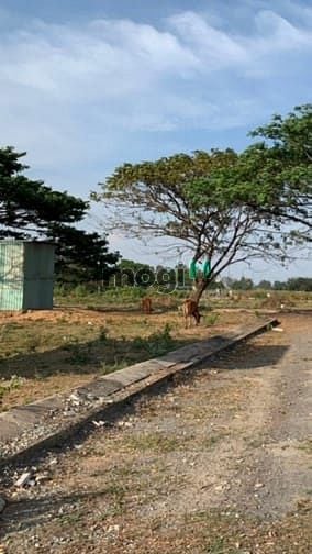 Hình ảnh SANG NHANH đất nền Bình Trưng Đông, quận 2. 100m2 (29tr/m2), SHR.