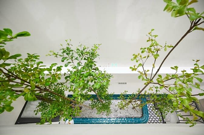 Hình ảnh Căn Hộ 1PN Tách Bếp Có Máy Giặt Riêng Quận 7