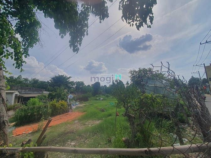 Hình ảnh Chủ ngộp thở Oxy bán đất, Đường 12, P Trường Thọ, 72m2, 3,5 tỷ, SHR