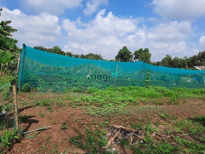 Hình ảnh Bán gấp lô đất 15.000m2,85x180m,Giá 9TR/M2 TL,Long Phước Q.9 Đối diện