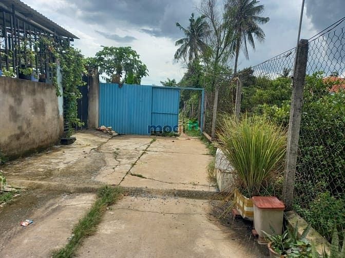 Hình ảnh Bán gấp lô đất 15.000m2,85x180m,Giá 9TR/M2 TL,Long Phước Q.9 Đối diện