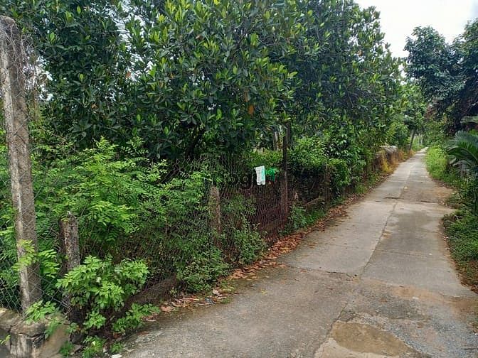 Hình ảnh Bán gấp lô đất 15.000m2,85x180m,Giá 9TR/M2 TL,Long Phước Q.9 Đối diện