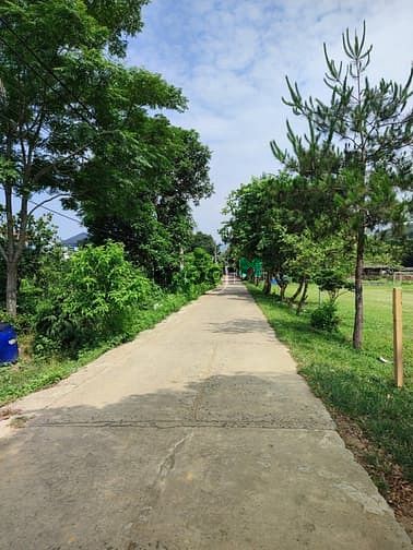 Hình ảnh Bán đất đẹp view thiên nhiên Yên Bình Thạch Thất giá rẻ đường rộng ôtô