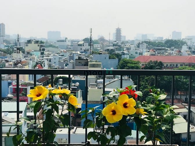 Hình ảnh Cho Thuê Căn Hộ Studio 1PN  Cửa Sổ Lớn Đồng Nai Tân Bình