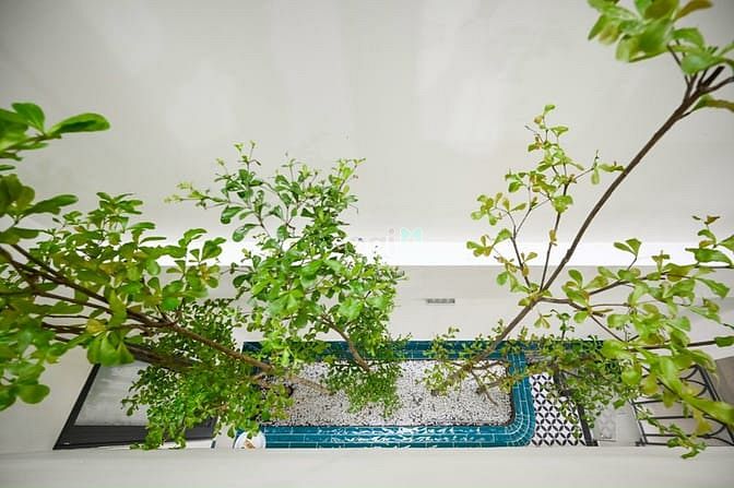 Hình ảnh Căn Hộ 1PN Full Nội Thất, Máy Giặt Riêng Mới 99% Gần Chợ Lý Phục Man