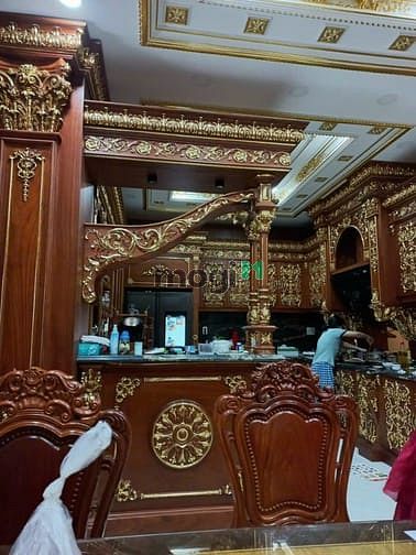 Hình ảnh Biệt Thự VIP Gần VinCom Gò Vấp,DTSD 600m2, 38.5 tỷ TL